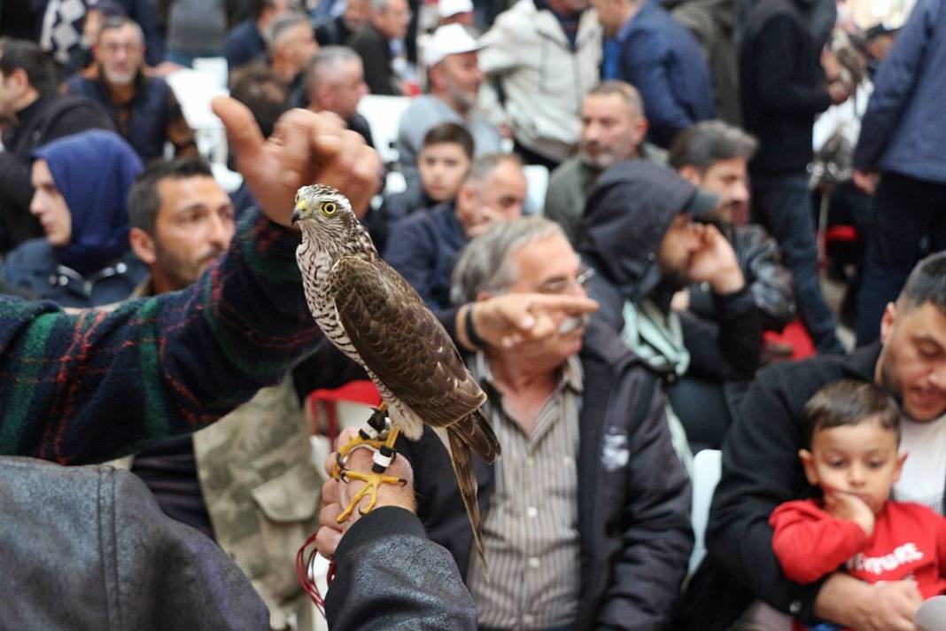 'Evladım' dediler, podyuma çıkardılar! Rize'de inanılmaz yarışma 8